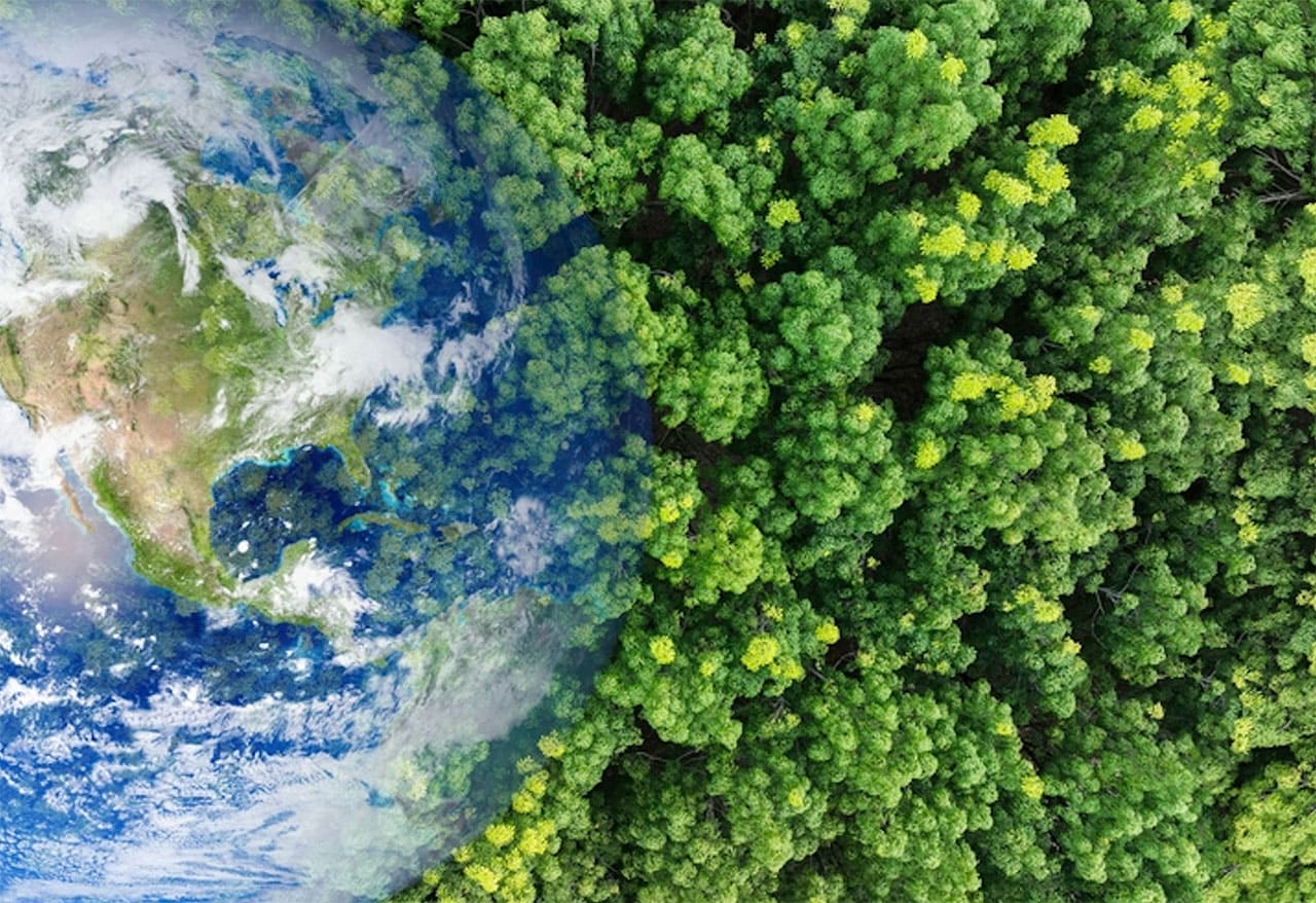 A Spark for Human Evolution