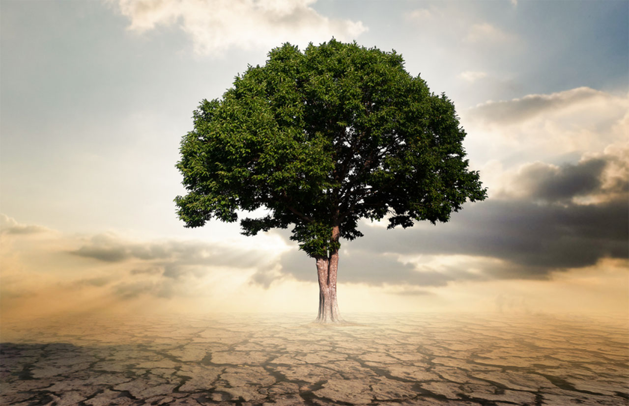 Leading Authentically and Courageously