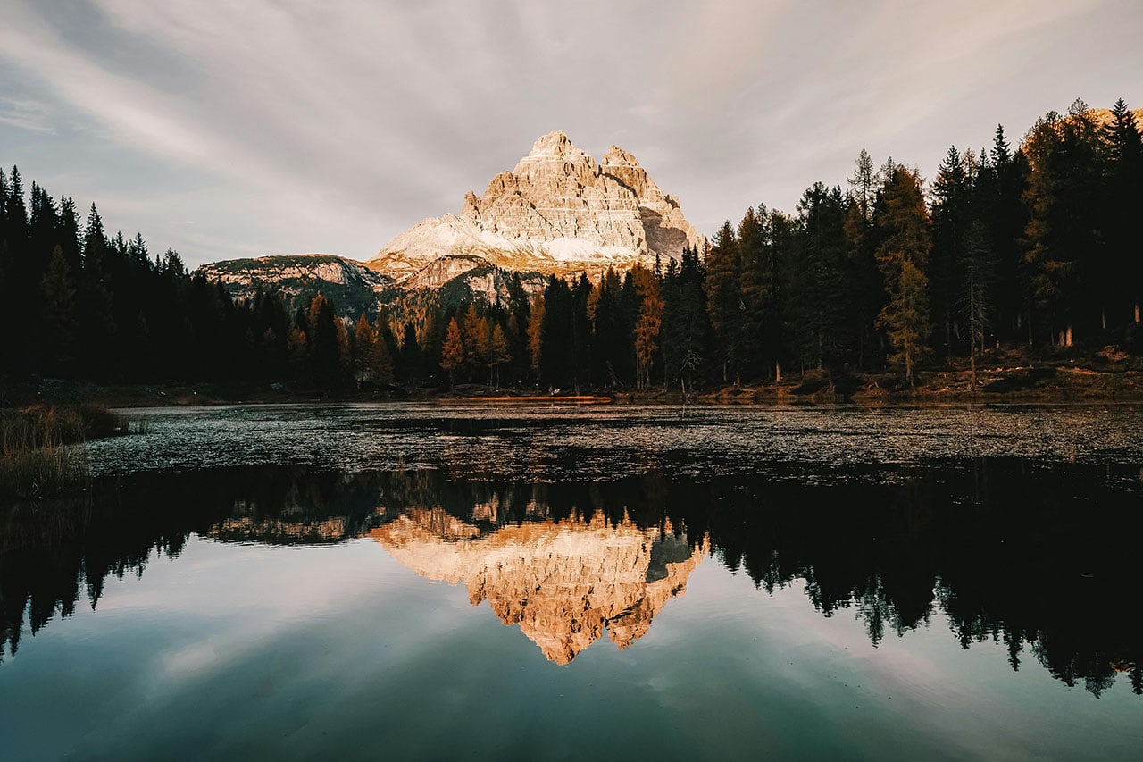 Scientific Discovery